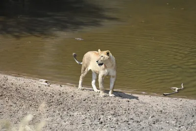 DSC_3653 (Large).JPG